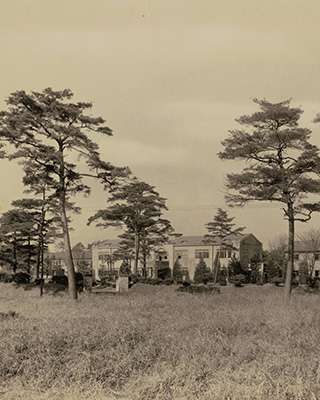 吉田翠