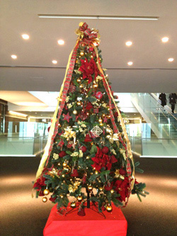 新1号館正面入口のクリスマス・ツリー