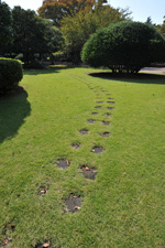 中庭・小道