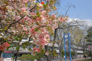 キャンパス風景