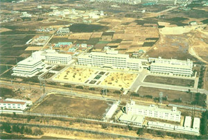 1966年頃のキャンパス風景